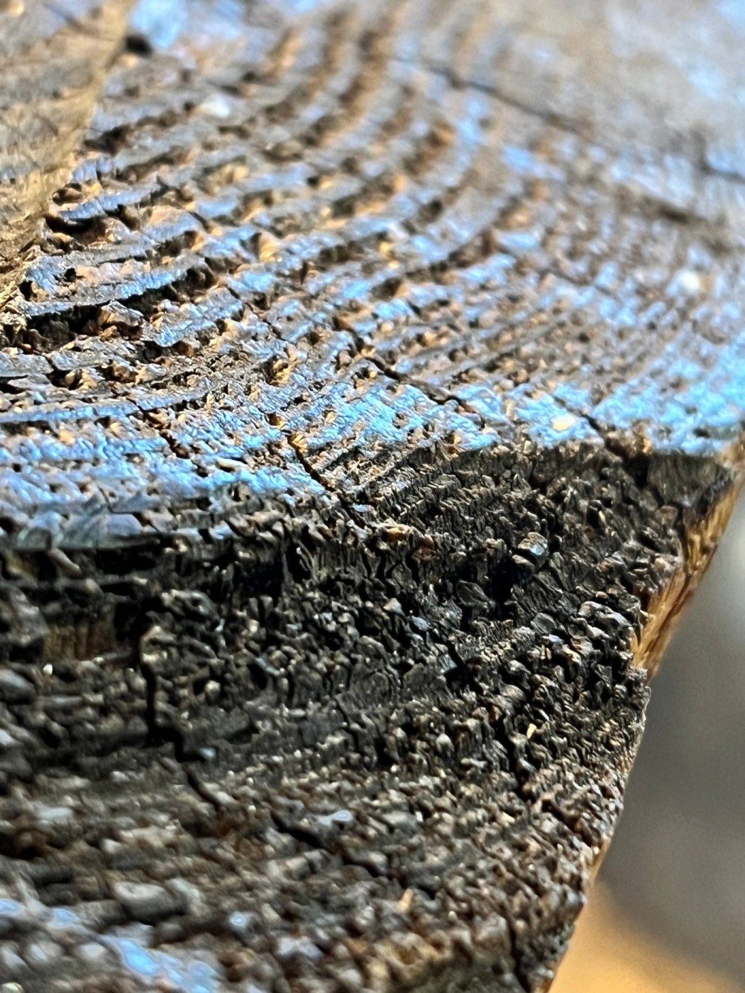 Log-Light [Unikat] – Bild 8